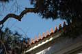 athenes_02