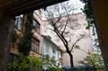 Cour d'immeuble Sophian strasse