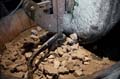 huiledenoix_34