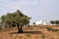 moulins_006_mosquee_fadhloum