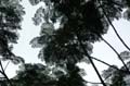 rio_073