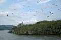 rio_102