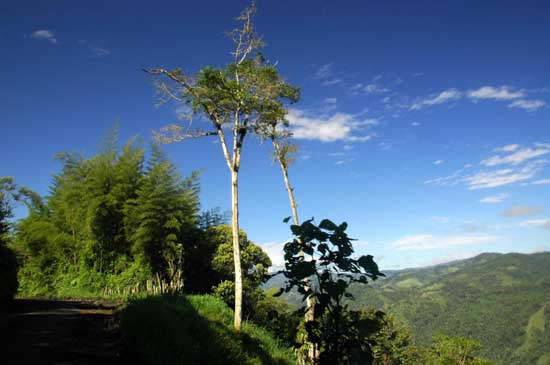 sucre_04