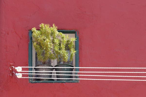175-Venise-Burano