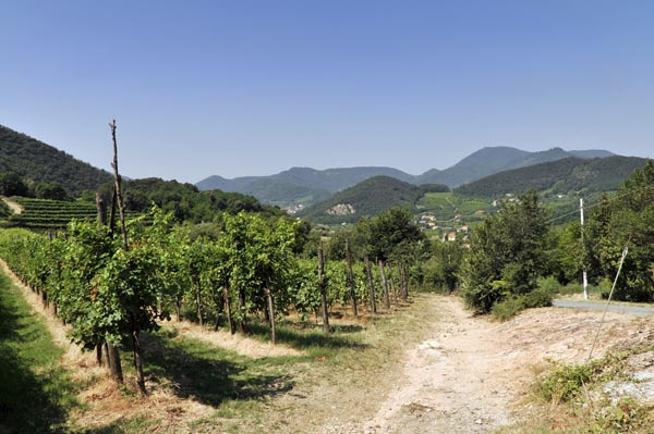 218-Les-collines-Euganeennes