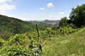 007_les-collines-Euganeennes