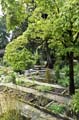 015-Padoue-Jardin-botanique