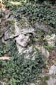 035-Villa-Pisani