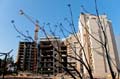 liban_010_beyrouth