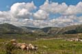 liban_057_le_sud_liban