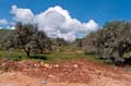 liban_059_le_sud_liban