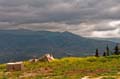liban_062_le_sud_liban