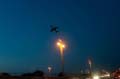 liban_089