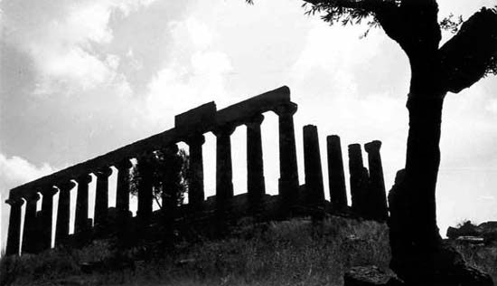 1955