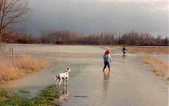 1988