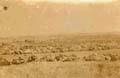 1917