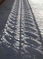 barcelone_parc_guel_0605