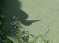 2003_bruges_12