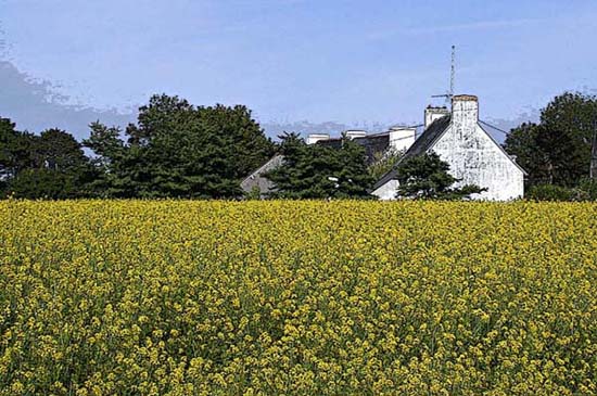 2002_bretagne