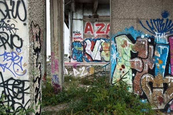 DSC_1336-1