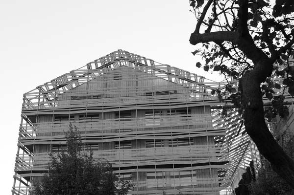 DSC_1509