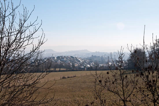 huiledenoix_01