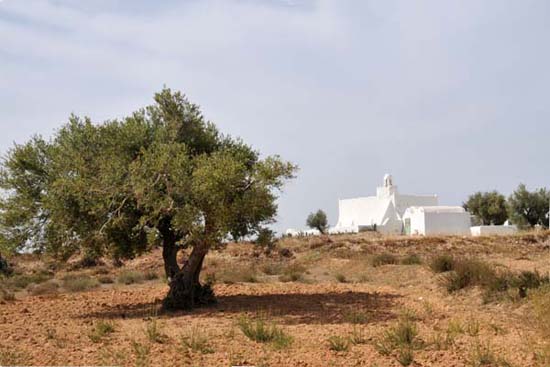 moulins_006_mosquee_fadhloum