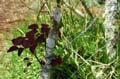 cafe_25
