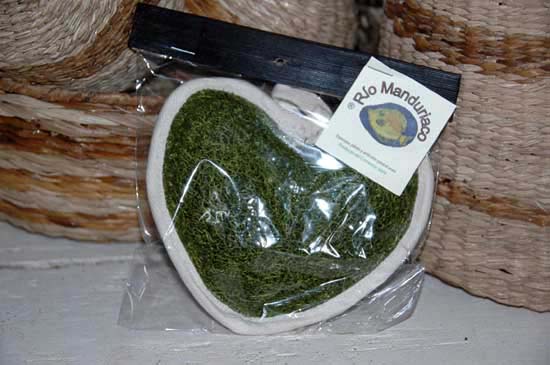 luffa_22