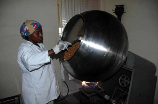 luffa_28