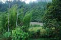 luffa_01