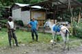 luffa_07