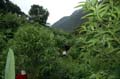 luffa_32