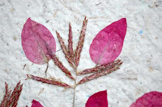 papier_51