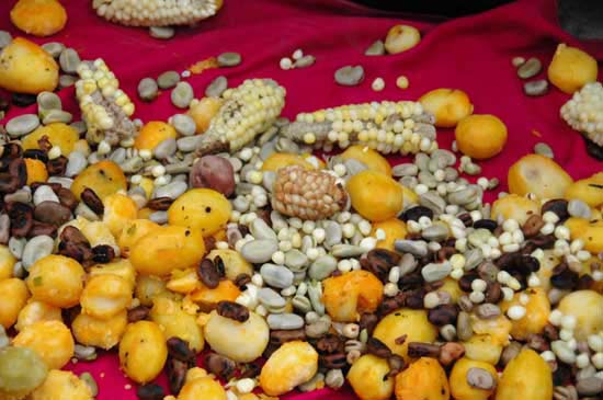 quinoa_70