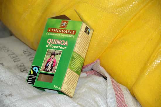 quinoa_91