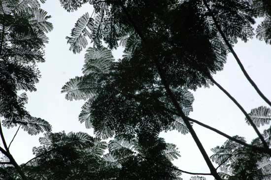 rio_073