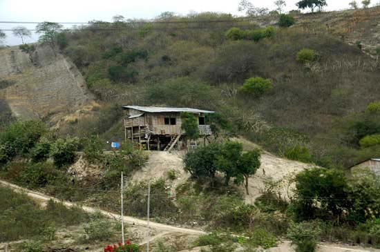 rio_104