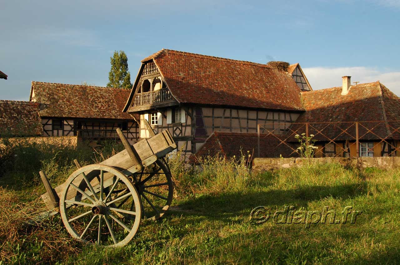 alsace_12