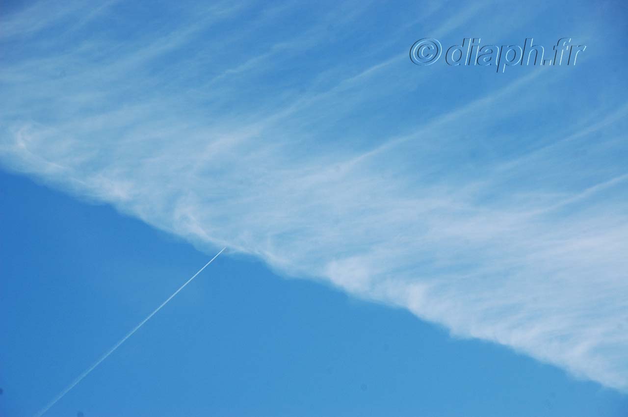 ciel