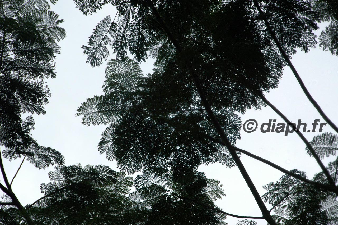 equateur_06