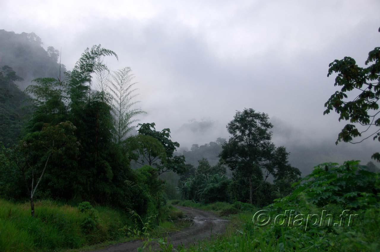 equateur_11