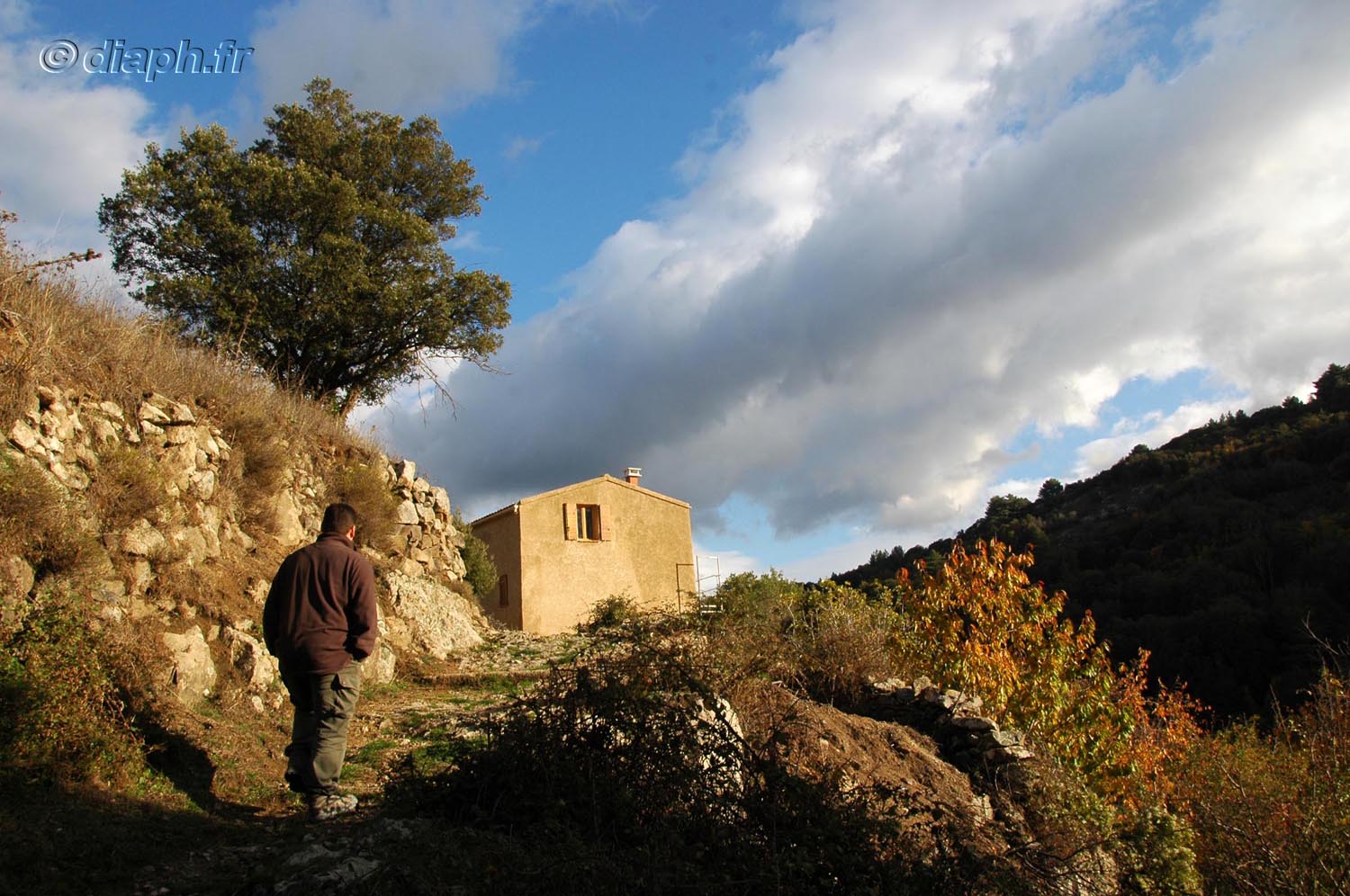 forcili