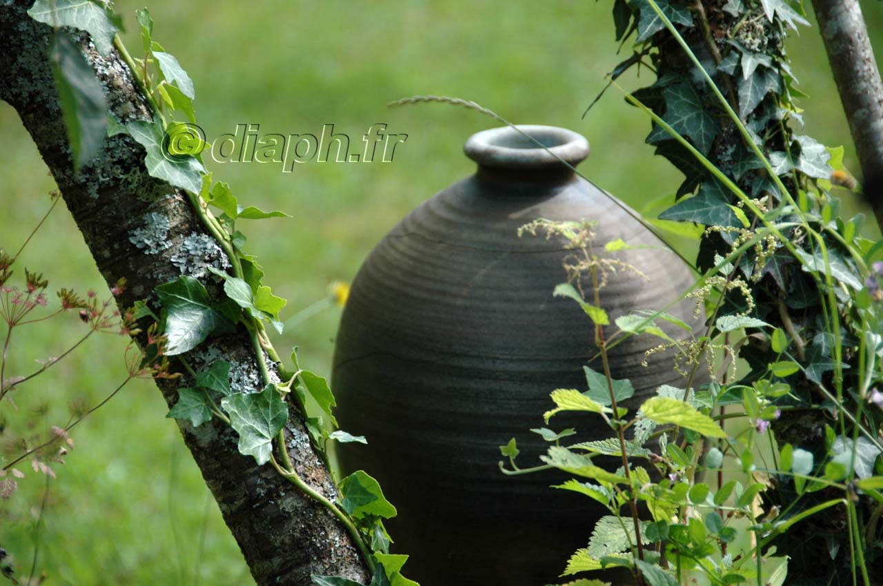 la_borne_01
