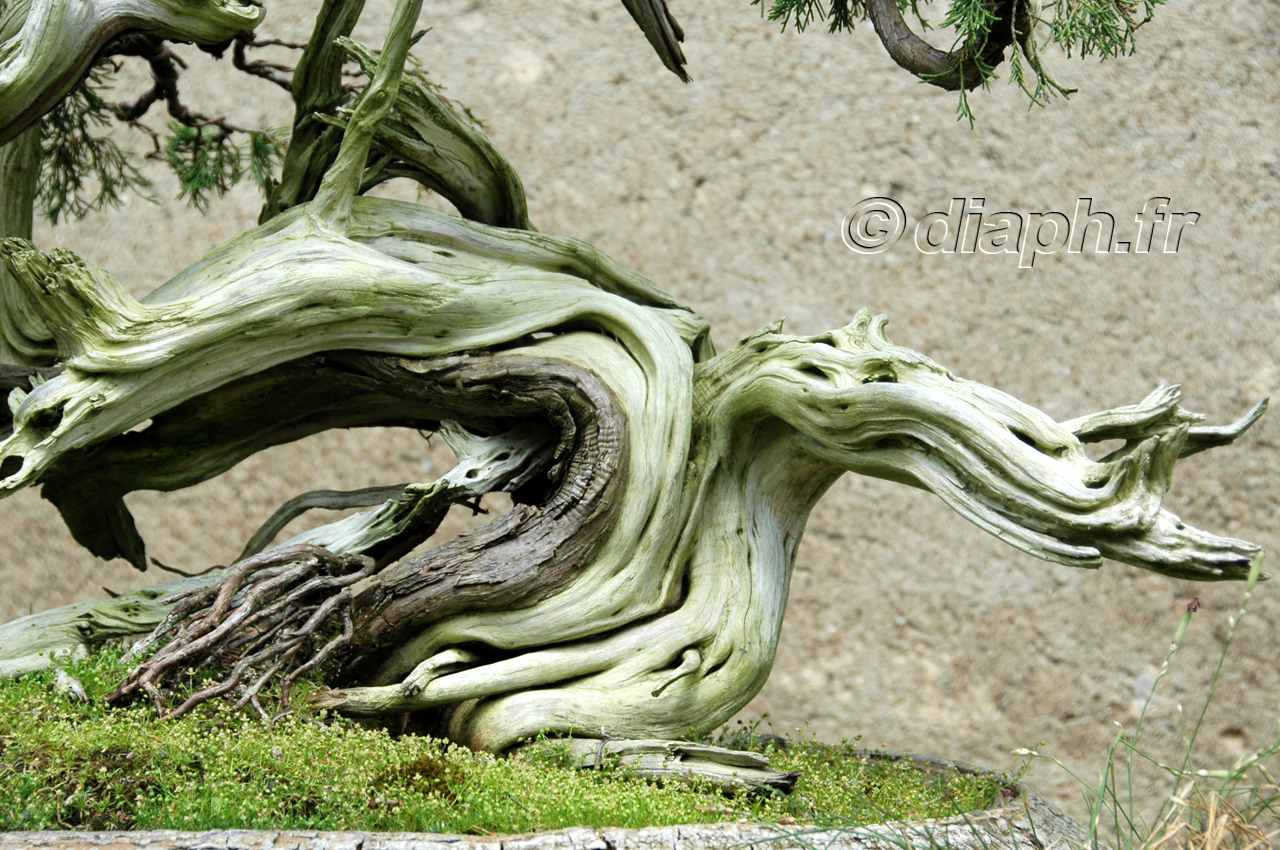 la_borne_08