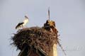 alsace_10