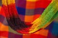equateur_01
