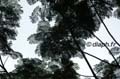 equateur_06