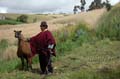 equateur_07