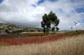 equateur_10